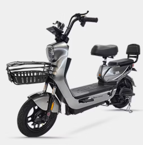Aster D2 City Electric Bike 48V 20Ah