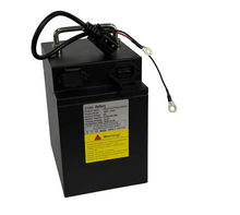 تحميل الصورة إلى عارض المعرض، Kugoo Wish 01 Battery 48V 20.8Ah
