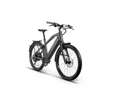 تحميل الصورة إلى عارض المعرض، Stromer ST1 Electric Bike
