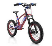 تحميل الصورة إلى عارض المعرض، RFN EVO Racing – Electric Motorcycle for Kids Age 7-16
