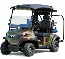 تحميل الصورة إلى عارض المعرض، Mixed Color Electric 2 Seater Luxury Golf Cart With Cooler for Golf Course
