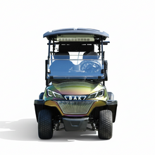 تحميل الصورة إلى عارض المعرض، Mixed Color Electric 2 Seater Luxury Golf Cart With Cooler for Golf Course
