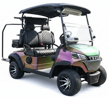 تحميل الصورة إلى عارض المعرض، Mixed Color Electric 2 Seater Luxury Golf Cart With Cooler for Golf Course

