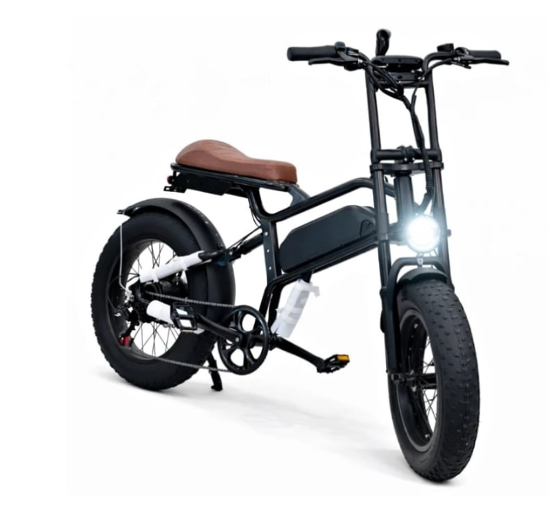 Rohan wings-ST20 Harley Electric Bike 48V 15Ah 450W