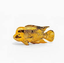 تحميل الصورة إلى عارض المعرض، Aureo Flowerhorn Fish Bronze Decor Medium
