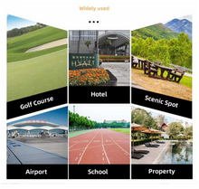 تحميل الصورة إلى عارض المعرض، Luxury Electric Golf Cart 04 Seater
