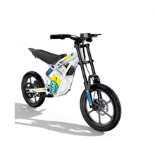 Load image into Gallery viewer, Windhorse P6 kids Electric Dirt Bike Age 6-10 Years - 250W 36V 10Ah
