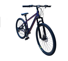 Load image into Gallery viewer, 29-Inch Mountain Bike – 24-Speed Hardtail MTB | Purple Metallic
