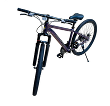 Load image into Gallery viewer, 29-Inch Mountain Bike – 24-Speed Hardtail MTB | Purple Metallic
