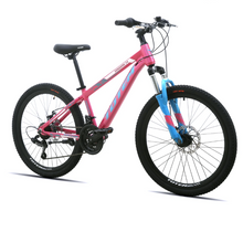 Load image into Gallery viewer, New Sunshine Unisex 24-Inch Mountain Bike – 24-Speed MTB with Front Suspension
