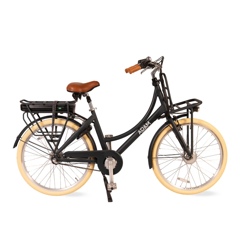 Adams City Electric Bike 26