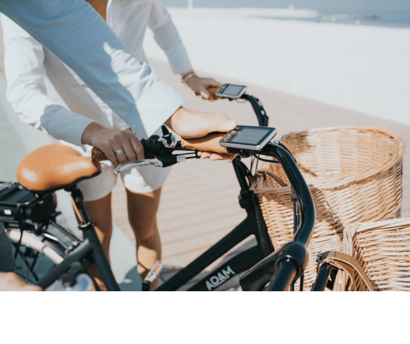 Adams City Electric Bike 26