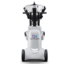 تحميل الصورة إلى عارض المعرض، New Arrival – ALEXIA Auto Folding Electric Standing Wheelchair
