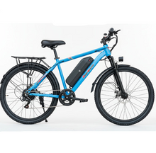 تحميل الصورة إلى عارض المعرض، City Electric Bicycle With Removable Battery 36V 10Ah 250W
