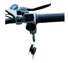 تحميل الصورة إلى عارض المعرض، City Electric Bicycle With Removable Battery 36V 10Ah 250W
