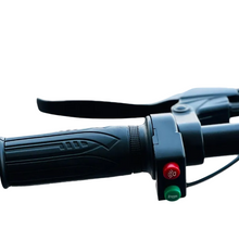 تحميل الصورة إلى عارض المعرض، City Electric Bicycle With Removable Battery 36V 10Ah 250W
