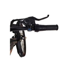 تحميل الصورة إلى عارض المعرض، kugoo M101 Electric Bike,36V 13Ah city rider
