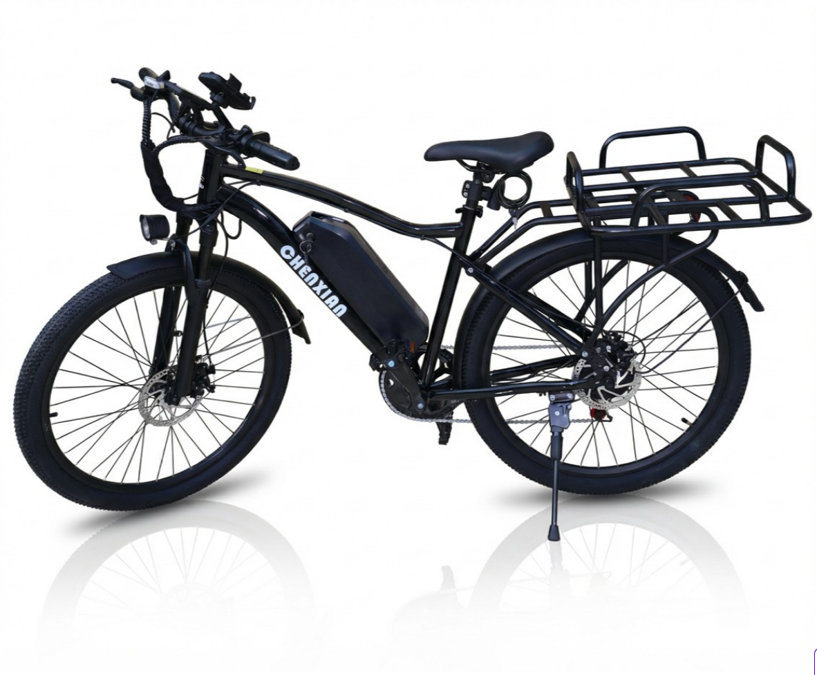 HX100 City Electric Bicycle 48V 10.5Ah removable 350W- 2026 new design