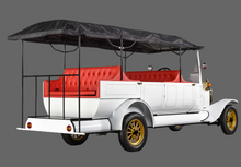 Load image into Gallery viewer, VINTAGE Royal Golf Carts - Electric LY 11 Seater
