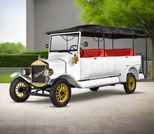 Load image into Gallery viewer, VINTAGE Royal Golf Carts - Electric LY 11 Seater
