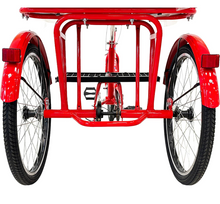 تحميل الصورة إلى عارض المعرض، Tricycle with rear passenger carrier 20"
