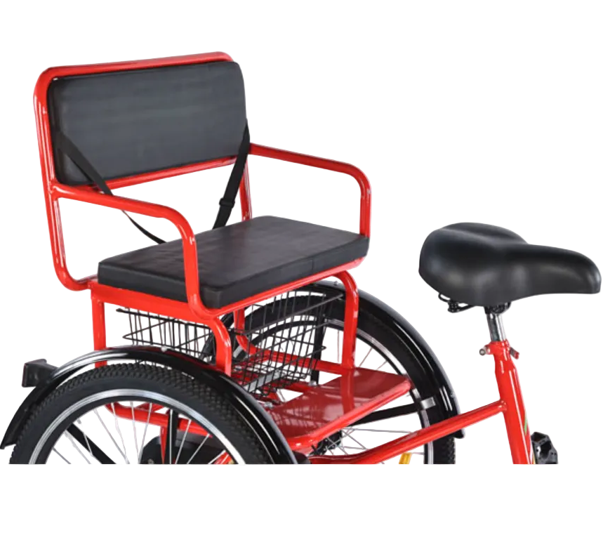 Tricycle with rear passenger carrier 20