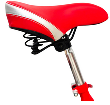 تحميل الصورة إلى عارض المعرض، Tricycle with rear passenger carrier 20"
