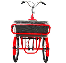 تحميل الصورة إلى عارض المعرض، Tricycle with rear passenger carrier 20"
