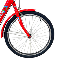 تحميل الصورة إلى عارض المعرض، Tricycle with rear passenger carrier 20"
