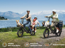 تحميل الصورة إلى عارض المعرض، Engwe LE20 Electric Bike
