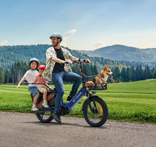 تحميل الصورة إلى عارض المعرض، Engwe LE20 Electric Bike
