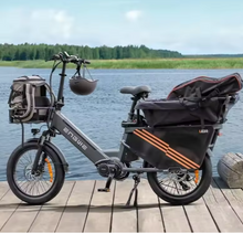 تحميل الصورة إلى عارض المعرض، Engwe LE20 Electric Bike
