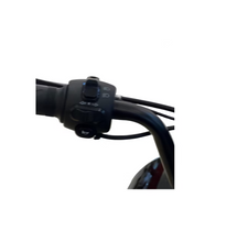 Load image into Gallery viewer, Vespa Style Fashion Electric Bike - RW-GW02
