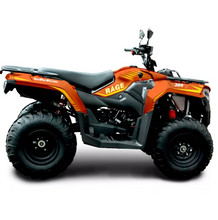 Load image into Gallery viewer, 2024 RAGE 300 ATV Quad Bike For Off Road Fun
