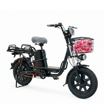 تحميل الصورة إلى عارض المعرض، New Heavy Duty City Electric Bicycle
