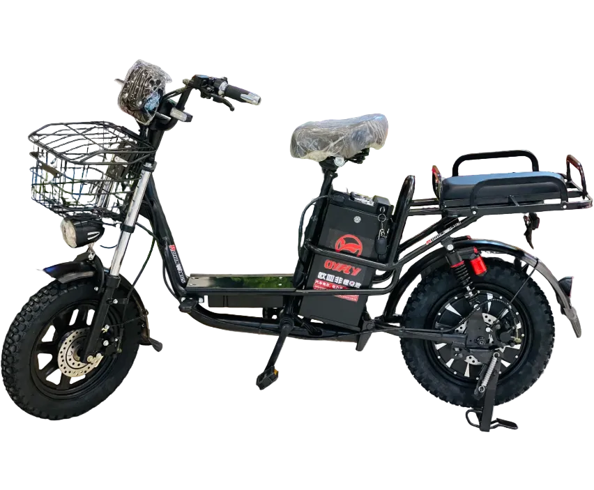 New Heavy Duty City Electric Bicycle