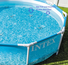 Load image into Gallery viewer, INTEX Round Metal Frame Above Ground Pool
