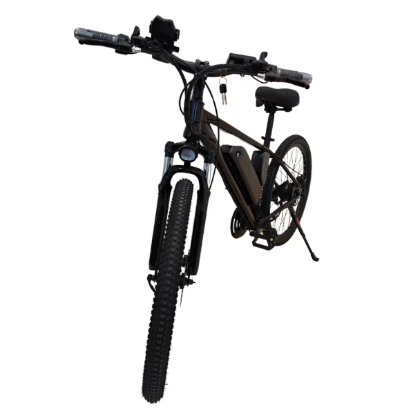 Winnersky Electric Bike 36V 10Ah 500W City Bike