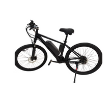 Load image into Gallery viewer, Winnersky Electric Bike 36V 10Ah 500W City Bike
