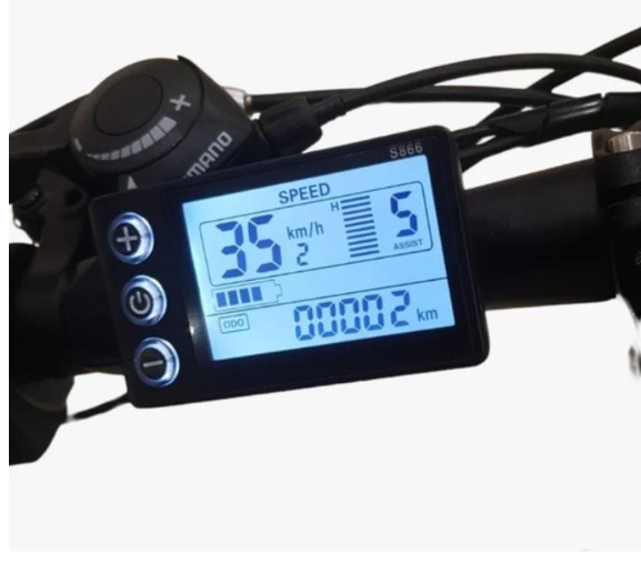 Winnersky Electric Bike 36V 10Ah 500W City Bike