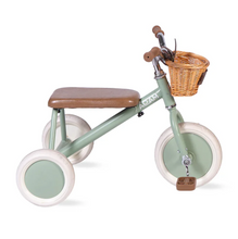 Load image into Gallery viewer, The Tiny Tricycle Age 1.5 &amp; Up
