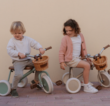 Load image into Gallery viewer, The Tiny Tricycle Age 1.5 &amp; Up
