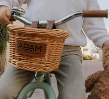 Load image into Gallery viewer, The Tiny Tricycle Age 1.5 &amp; Up
