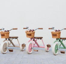 Load image into Gallery viewer, The Tiny Tricycle Age 1.5 &amp; Up
