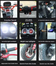 تحميل الصورة إلى عارض المعرض، Chenex New Sports City EBike With AX1 style Head lights 1500W
