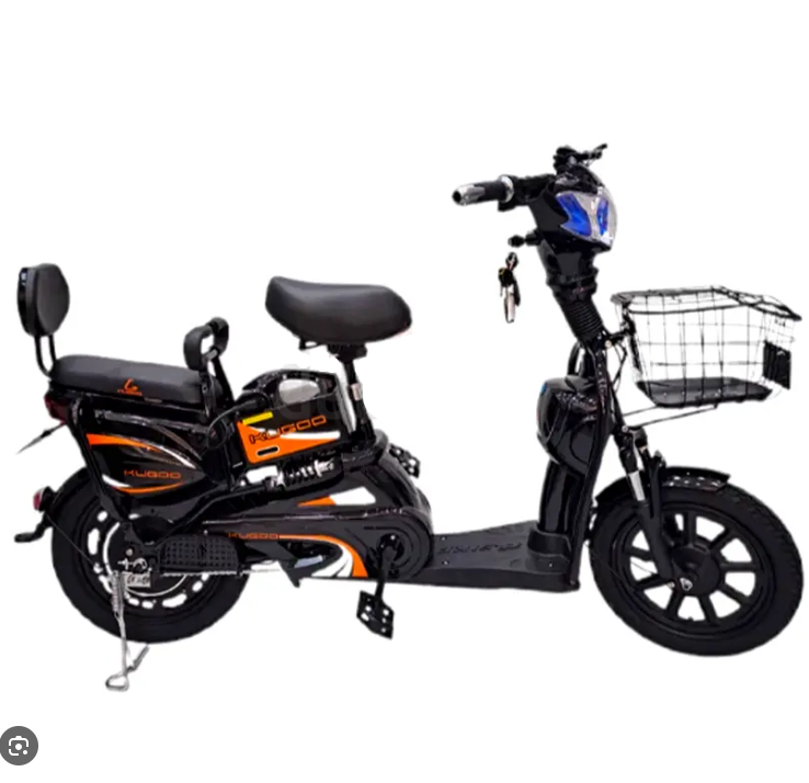 Kugoo T16 Delivery Electric Bike