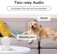 Load image into Gallery viewer, Laxihub P2 WHITE Smart indoor Night vision camera, Alexa, Google Assistant wifi
