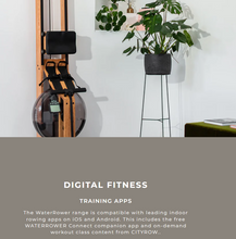 تحميل الصورة إلى عارض المعرض، WaterRower Original | Oak Wood ROWING POWERED BY REAL WATER
