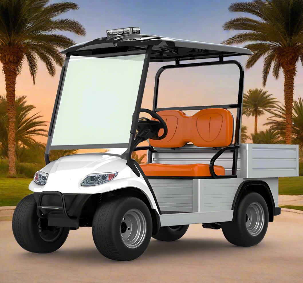 Short Utility Cargo Golf Cart 2 Seater