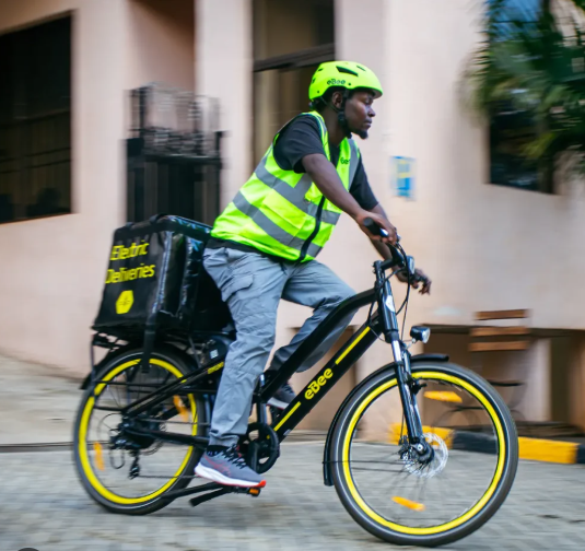 Electric city Bike D02 for City Delivery 36V 10Ah 500W